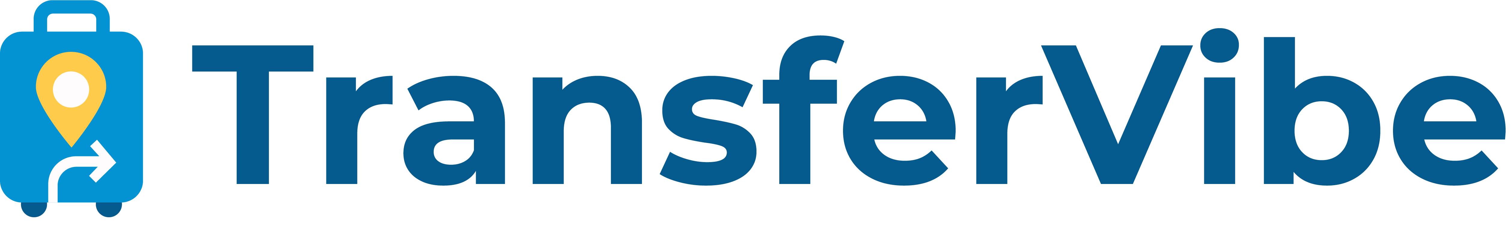 TransferVibE Logo